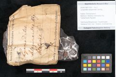 Foto (Objekt + Etikett) von Lycopodites selaginoides Sternbg. (NHMW-GEO-2024-0188-11253)